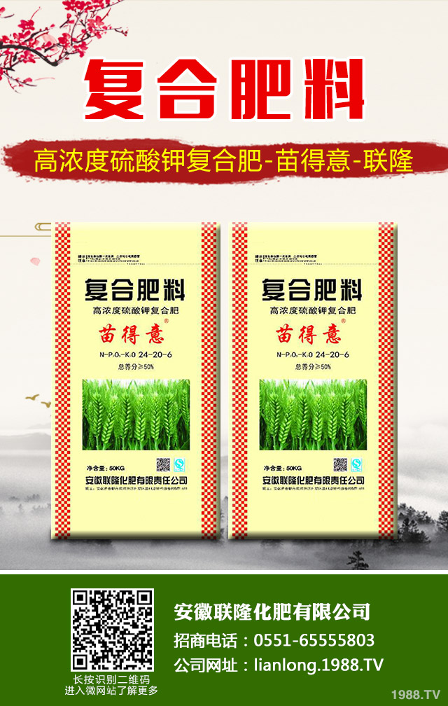 蘇鐵葉黃枯問題怎么解決？蘇鐵葉黃枯解決方法