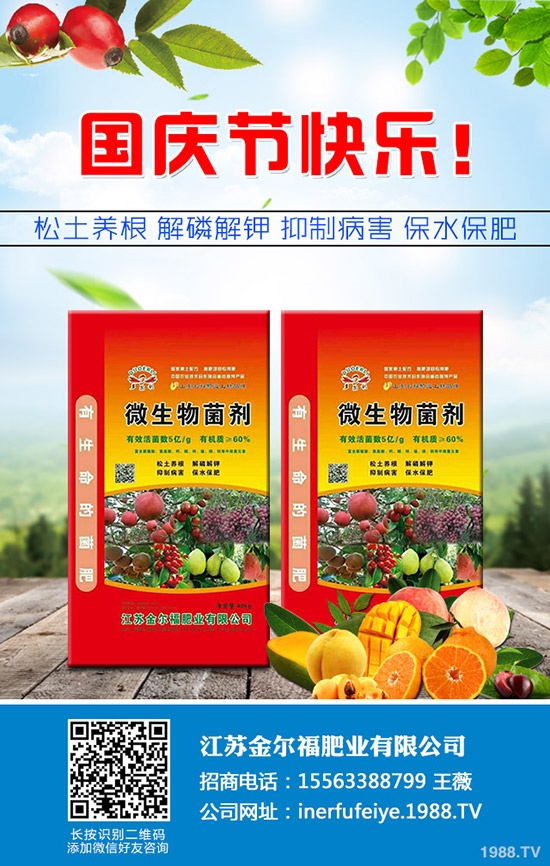     秋季香菜如何種植？香菜種植時(shí)間及種植技術(shù)、管理注意事項(xiàng)！