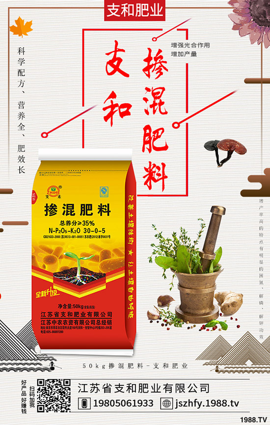     2019年香菜種植前景如何？一畝產(chǎn)量多少斤？香菜種植的成本和利潤！