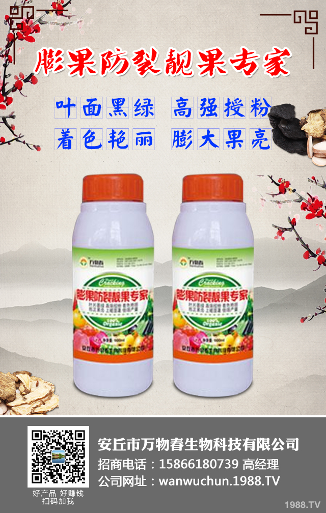 如何預防草莓畸形？草莓畸形防治技巧