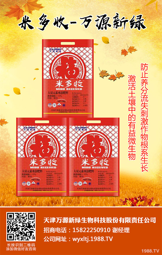 萵苣霜霉病危害這么大，你知道該如何防治嗎？萵苣霜霉病防治方法