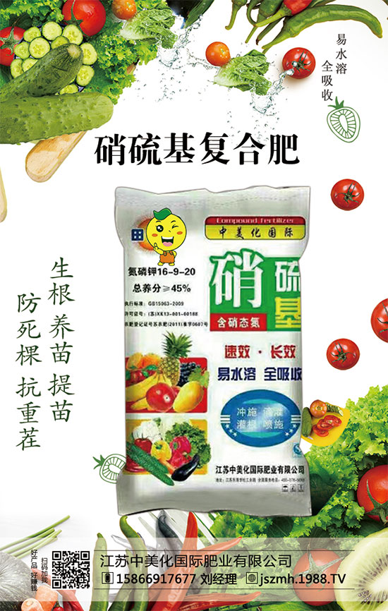 我國芒果產(chǎn)地分布在哪里？芒果種植的環(huán)境有什么要求？