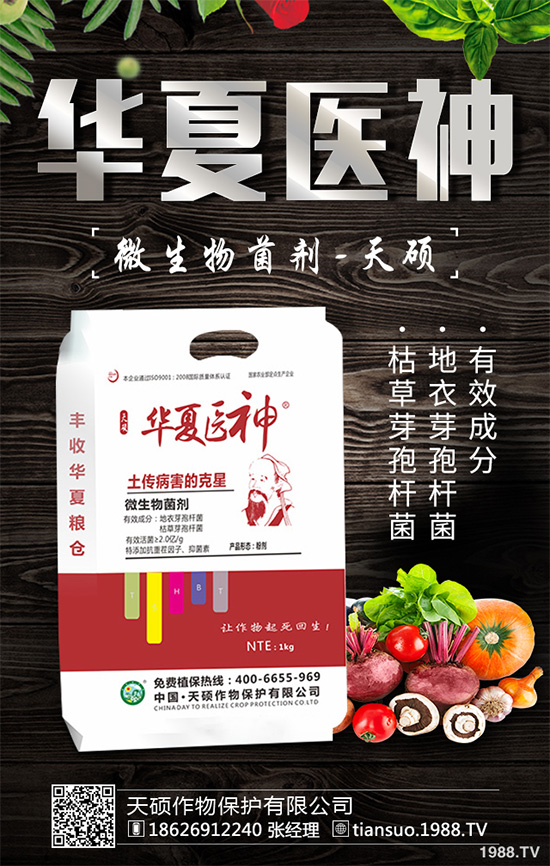     萵苣灰霉病有哪些危害癥狀？是如何引起的？快來(lái)看看吧！