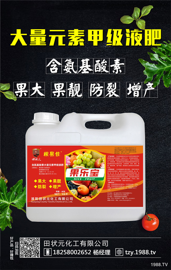     萵苣灰霉病有哪些危害癥狀？是如何引起的？快來(lái)看看吧！