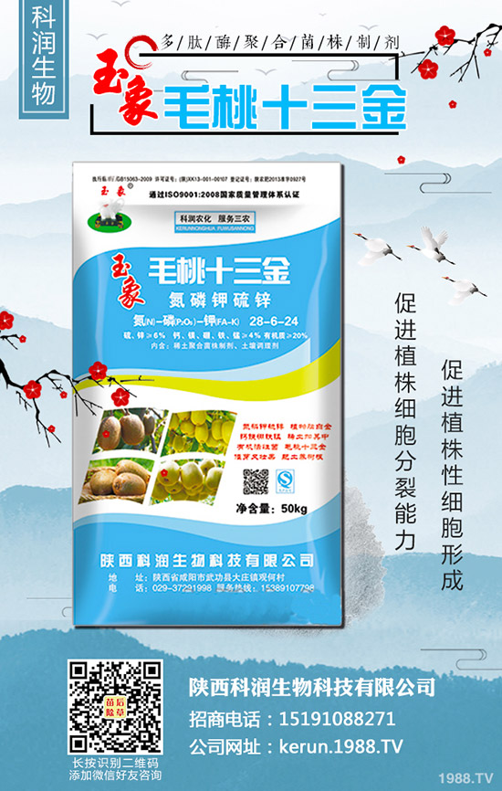     大蔥秋季什么時間種植合適？大蔥秋季種植時間及種植技術(shù)！