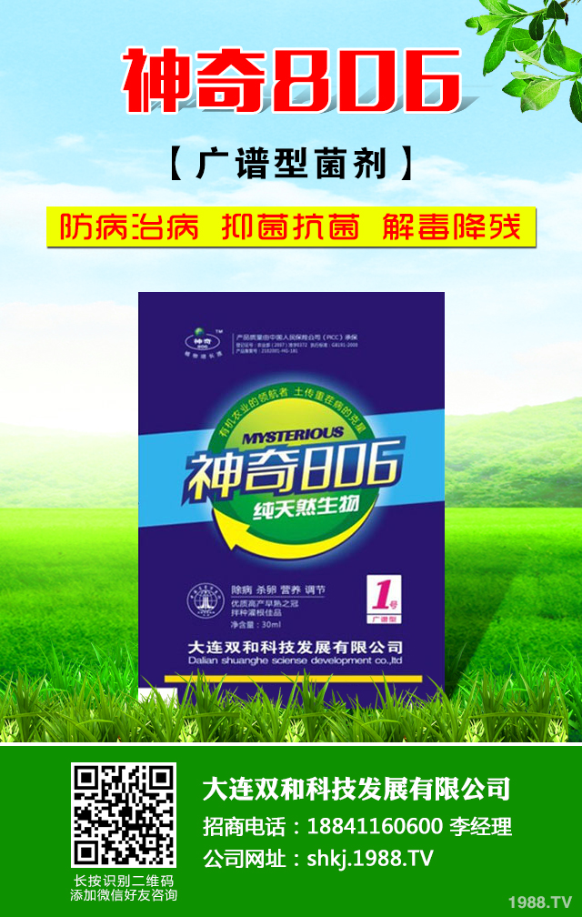 如何防治核桃常見病蟲害？核桃常見病蟲害防治技巧
