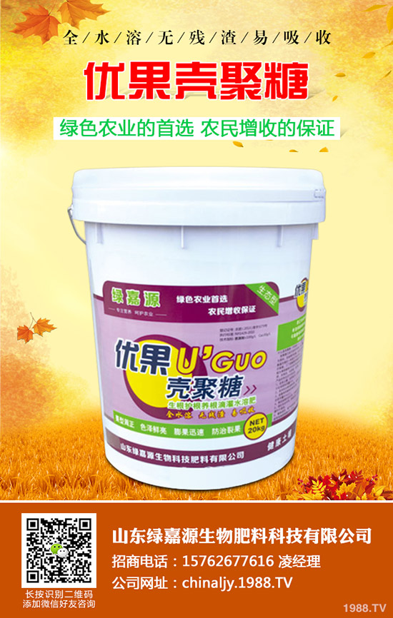 影響水稻分蘗的因素有哪些？如何提高水稻分蘗？