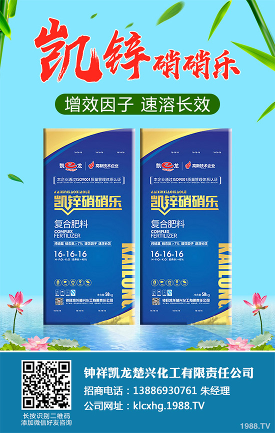     萵苣黑斑病是如何發(fā)生的？有哪些危害？萵苣黑斑病防治措施