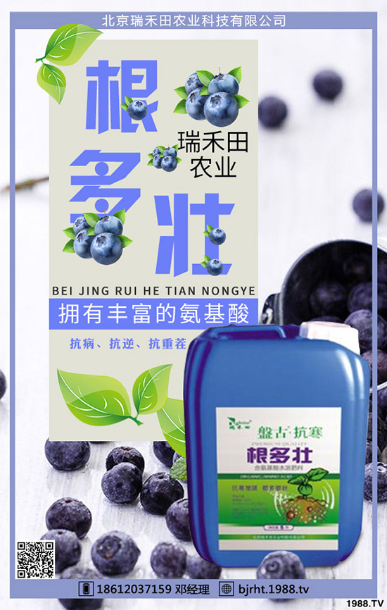 西紅柿什么時(shí)間種植，西紅柿種植技巧