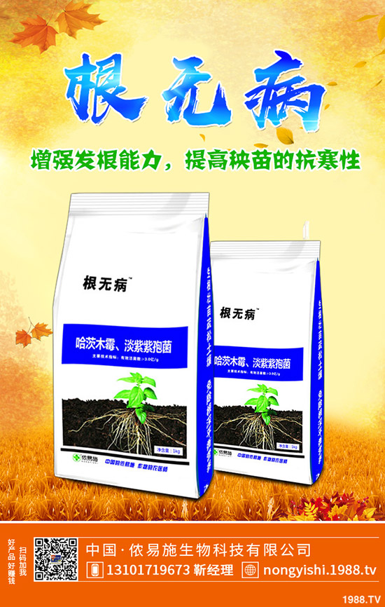     香菜、大蔥、香蔥種植賺錢嗎？常見調(diào)味型蔬菜種植利潤分析！