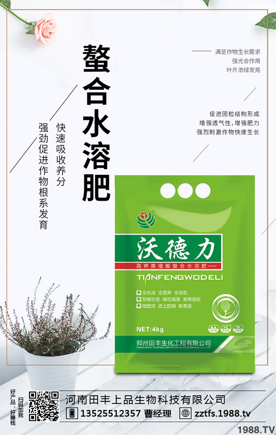 卷心菜有哪些營養(yǎng)價(jià)值？吃卷心菜有哪些好處？教你吃出健康！