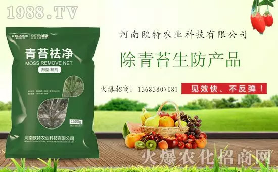 �������̦���������������Ƀ�����̦�oۙ��