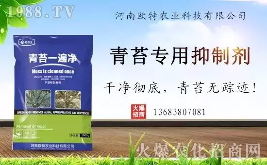 �������̦���������������Ƀ�����̦�oۙ��