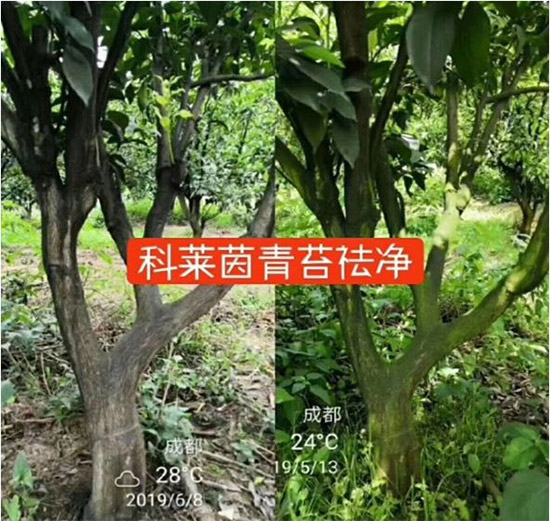 �������̦���������������Ƀ�����̦�oۙ��