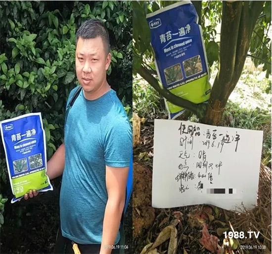 �������̦���������������Ƀ�����̦�oۙ��