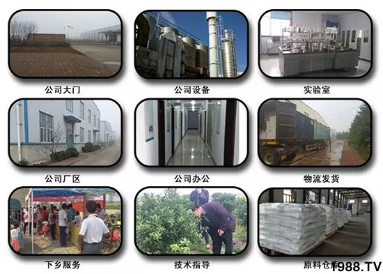 �������̦���������������Ƀ�����̦�oۙ��