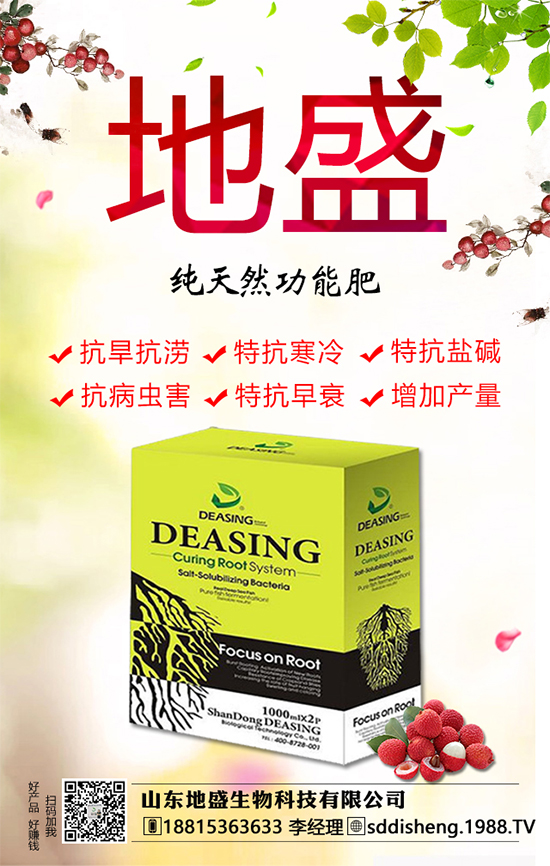 油茶樹的種植管理方法，油茶樹的經(jīng)濟(jì)價(jià)值如何？