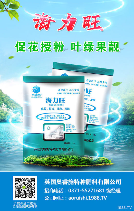 現(xiàn)在種植沙糖桔還賺錢嗎？沙糖桔種植技術(shù)大全