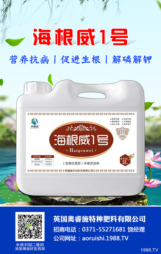 如何種植羊角蜜才能高產(chǎn)？羊角蜜種植時(shí)間和種植方法