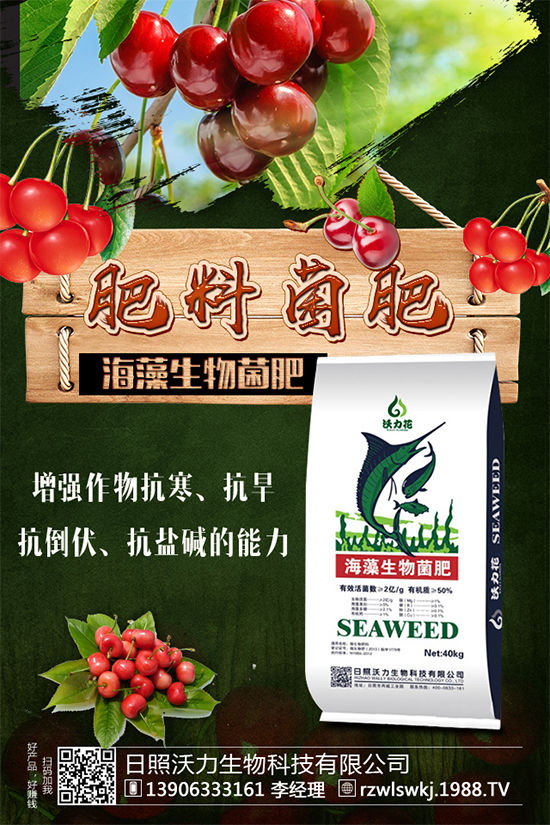 土豆怎么施肥？施什么肥料？土豆施肥要點！