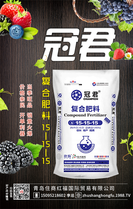 紫甘藍(lán)怎么管理？冬春茬紫甘藍(lán)種植管理要點(diǎn)！