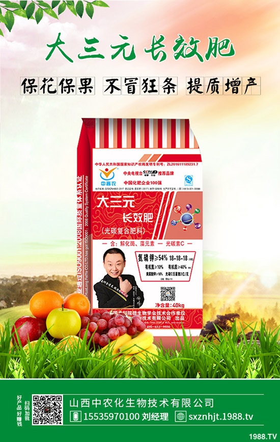     大棚早春茬西瓜如何育苗？大棚早春茬西瓜種植管理方法有哪些？