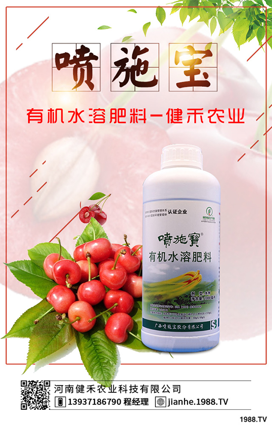 庭院種植竹子好在哪里？種植竹子的技巧與禁忌