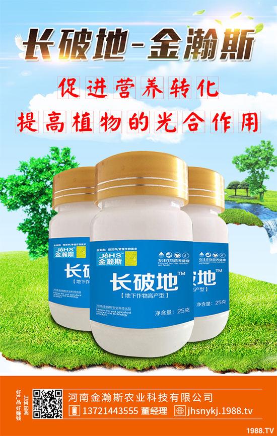 庭院種植竹子好在哪里？種植竹子的技巧與禁忌