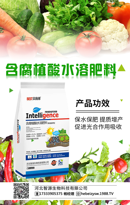 西瓜施肥有方法，請認準西瓜施肥的全套方案！