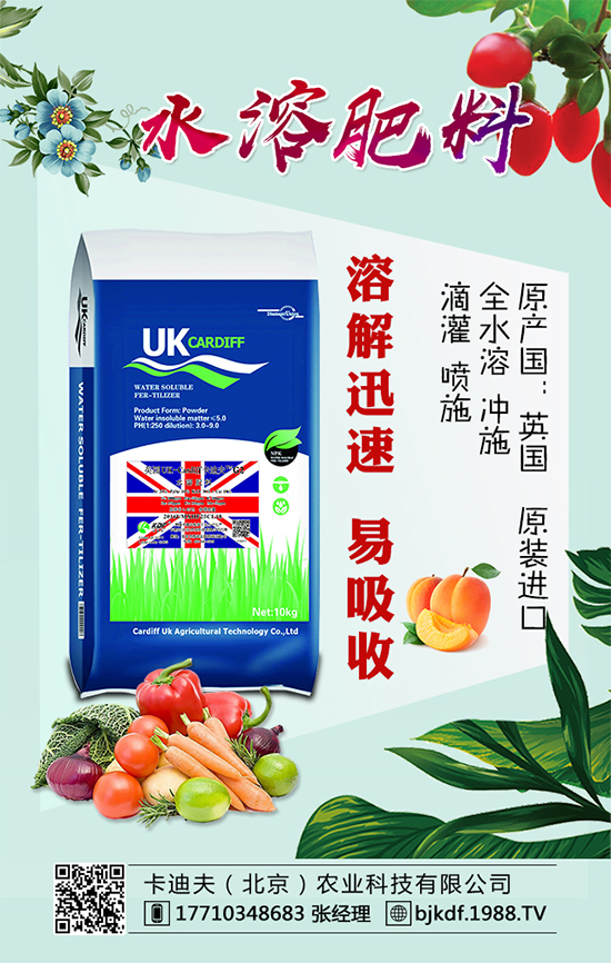 黃花菜要怎么種植？黃花菜對環(huán)境條件的要求！