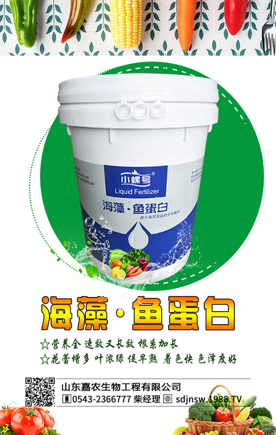 黃花菜什么季節(jié)種植好？2020年黃花菜種植前景及利潤分析！