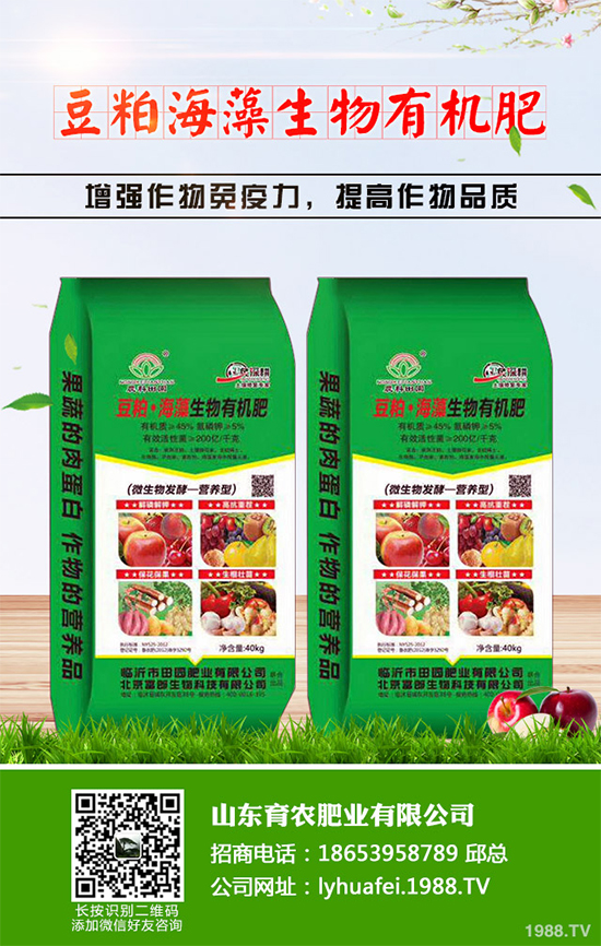 芹菜早疫病有哪些危害癥狀？芹菜早疫病的癥狀及防治措施