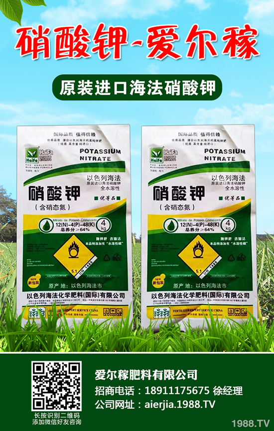 常吃蘆筍對人體有哪些好處？蘆筍的功效作用及營養(yǎng)價值