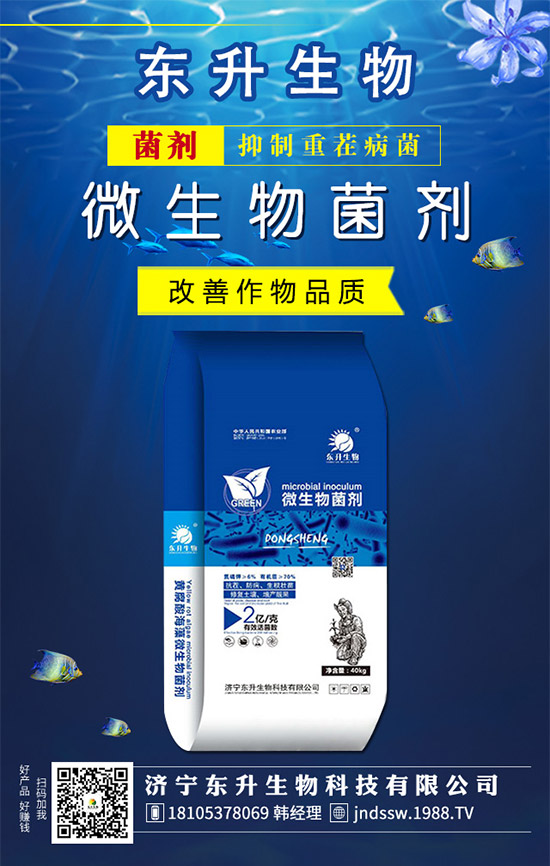 石榴樹什么時候嫁接好？石榴樹嫁接方法有哪些呢？