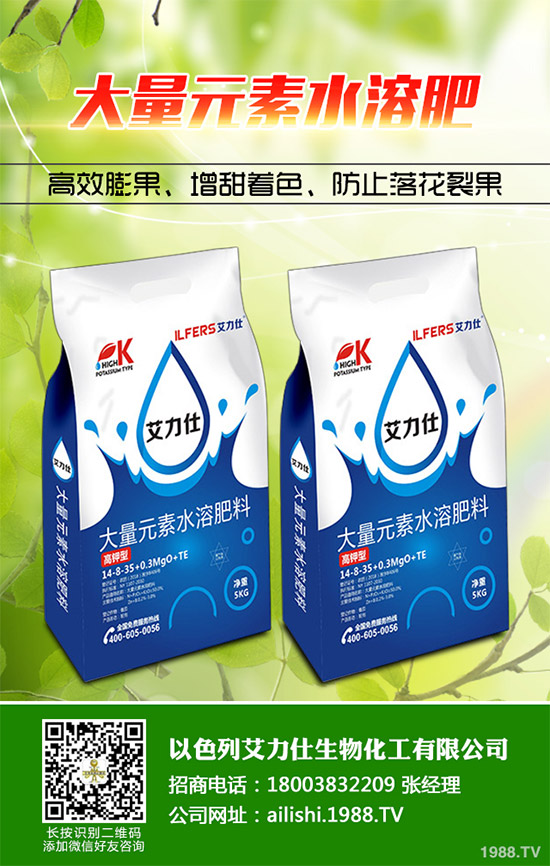 芹菜根腐病是如何發(fā)生的？該怎樣防治？快來看看吧！