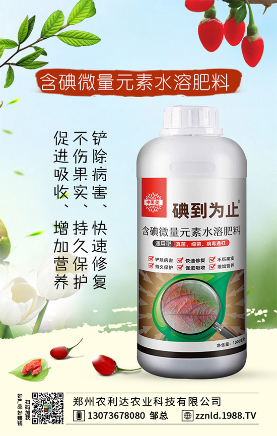 君子蘭的科學(xué)施肥方法，你了解嗎？