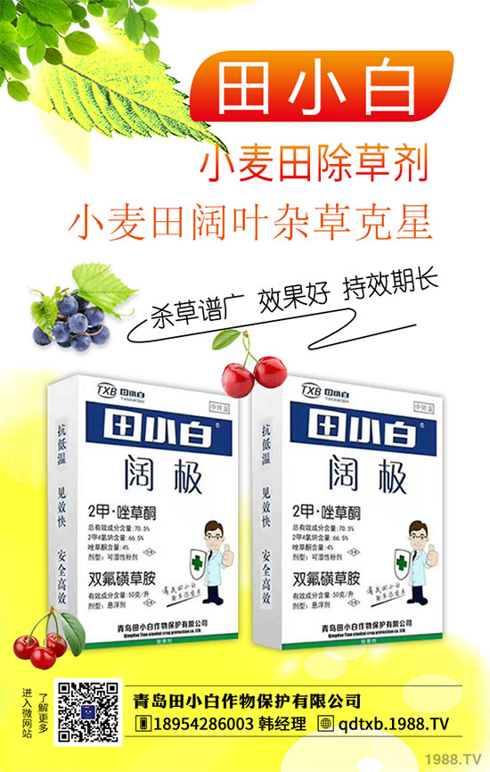 2020年1月17日除草劑原藥市場(chǎng)價(jià)格走勢(shì)