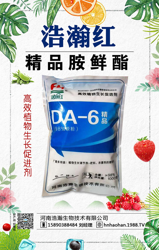 如何種植薰衣草？薰衣草的種植方法與注意事項(xiàng)！