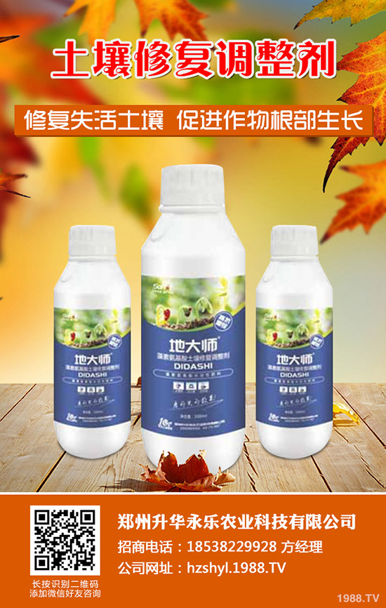 芍藥怎么種，芍藥種植技術要點有哪些？
