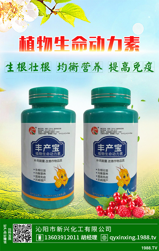 怎樣才能種好大白菜？大白菜高產(chǎn)種植技術(shù)要點