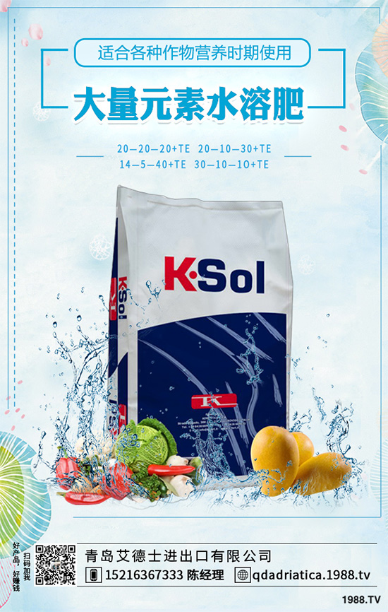 怎樣才能種好大白菜？大白菜高產(chǎn)種植技術(shù)要點