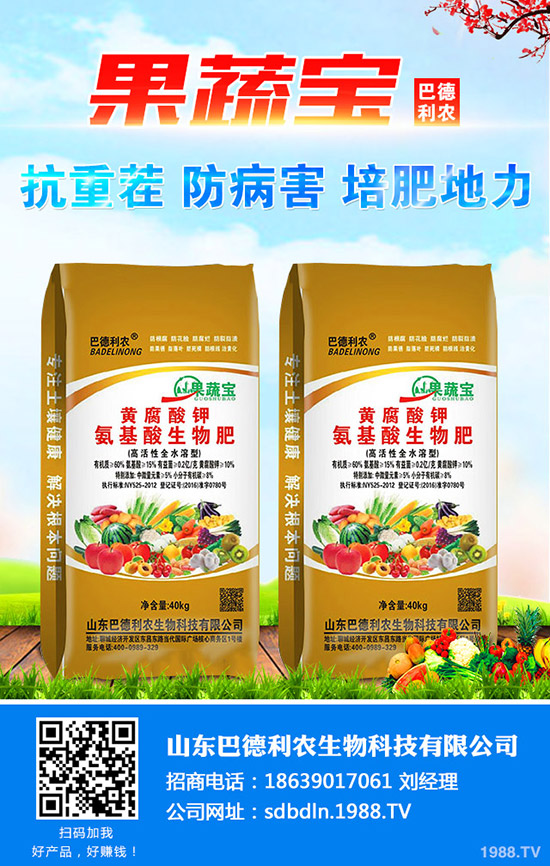     懶人1月份適合養(yǎng)殖哪些花卉？一月種哪些好看好養(yǎng)寓花卉？