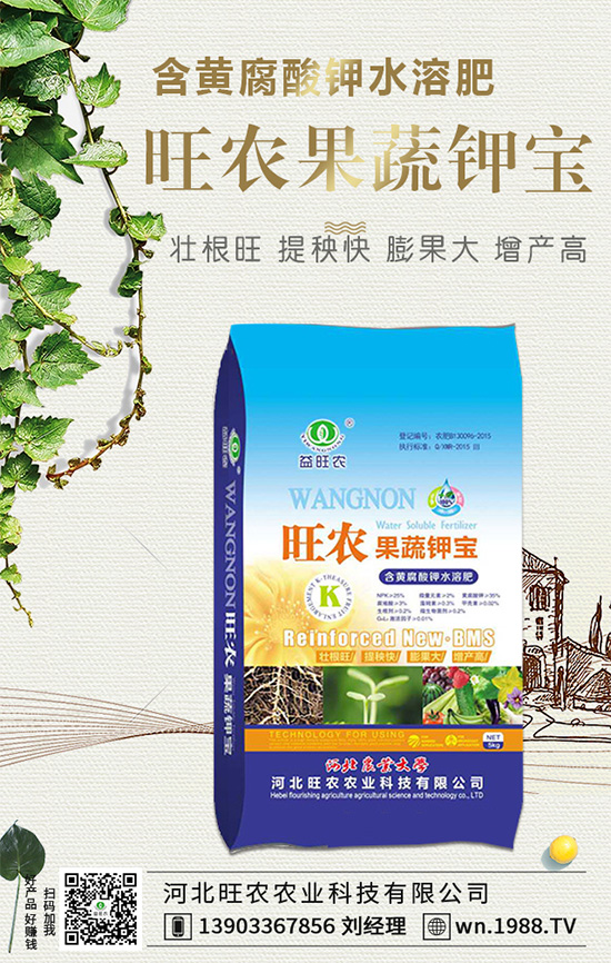 郁金香生長習性有哪些？郁金香養(yǎng)護要點！