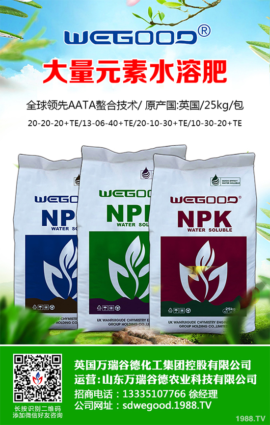 ¶������ʲô�r��Nֲ��¶�������߮a(ch��n)�Nֲ���g(sh��)