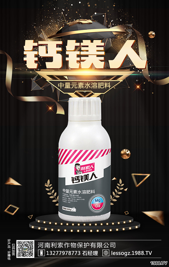 白菜價(jià)格多少錢一斤？白菜畝產(chǎn)多少斤？種植前景怎么樣？