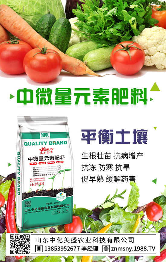 冬季草莓怎么管？冬季草莓管理措施！