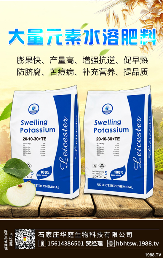 露地辣椒該如何施肥？露地辣椒高產(chǎn)施肥技術(shù)