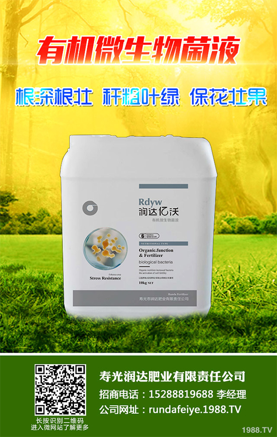 露地辣椒該如何施肥？露地辣椒高產(chǎn)施肥技術(shù)