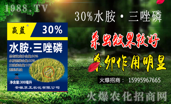 水稻鉆心蟲防治難點有哪些？水稻鉆心蟲危害及防治要點！