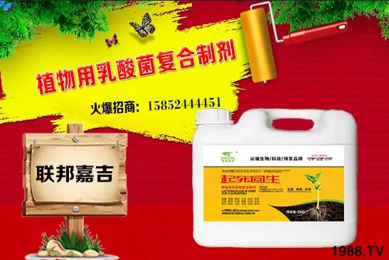 大蔥生長(zhǎng)條件有哪些？大蔥需肥特點(diǎn)及秋季管理！